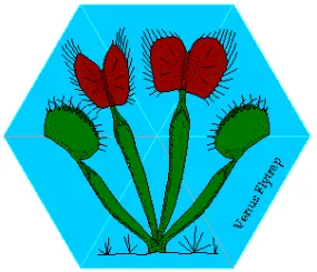 Carnivorous Plant Flexagon