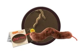 Diarrhea (Campylobacter jejuni) Giant Microbes Plush