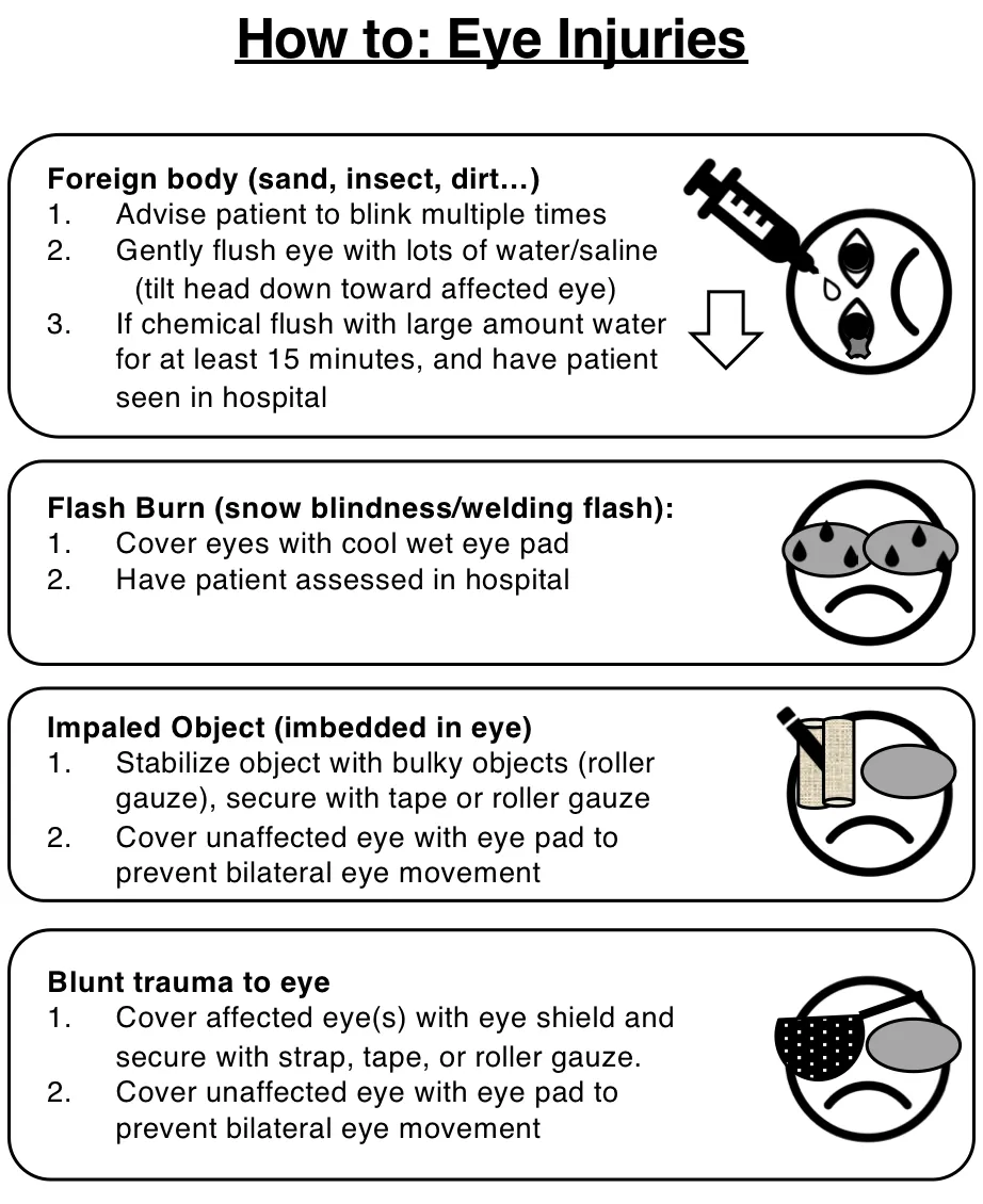 Eye Injury Module