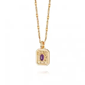 February Birthstone 18ct Gold Plated Necklace BS02_GP