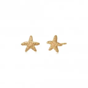 Isla Starfish Stud 18ct Gold Plate Earrings SE08_GP