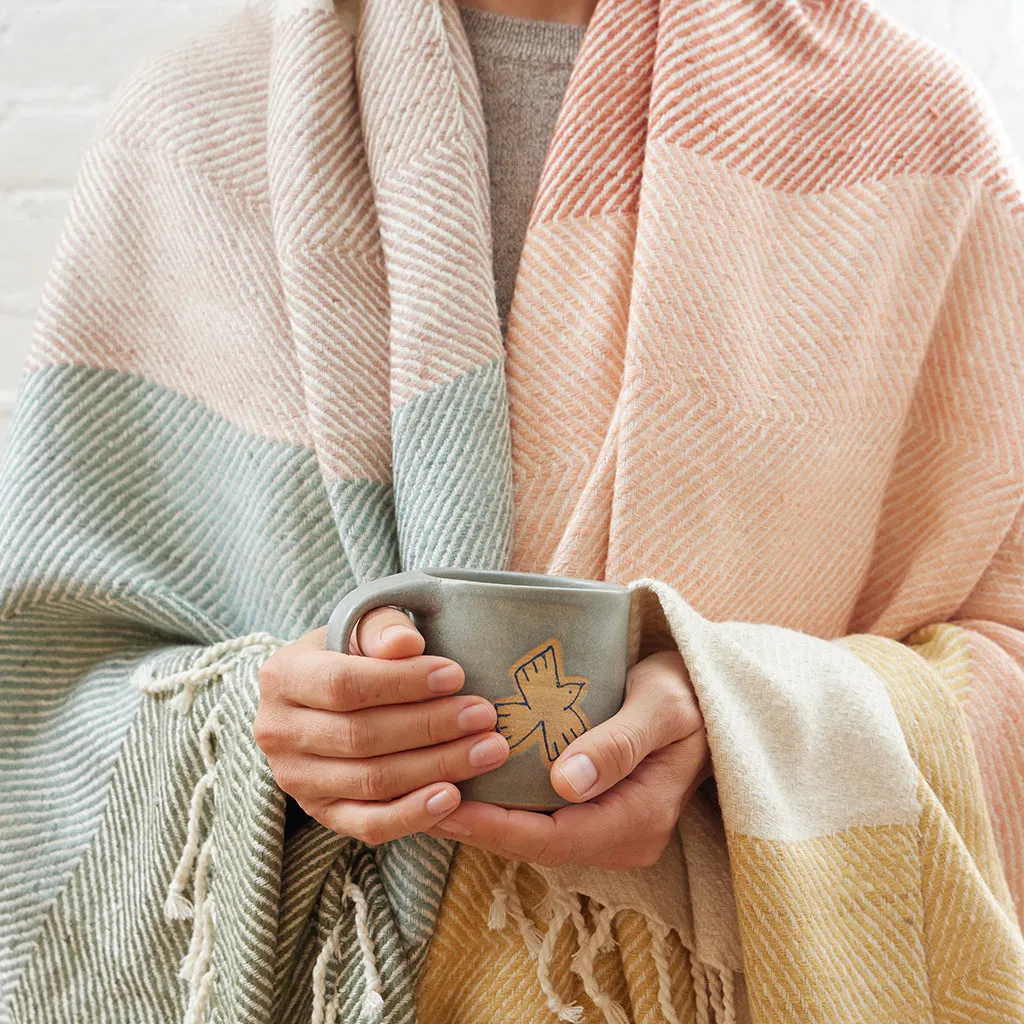 Silk Rainbow Chevron Throw