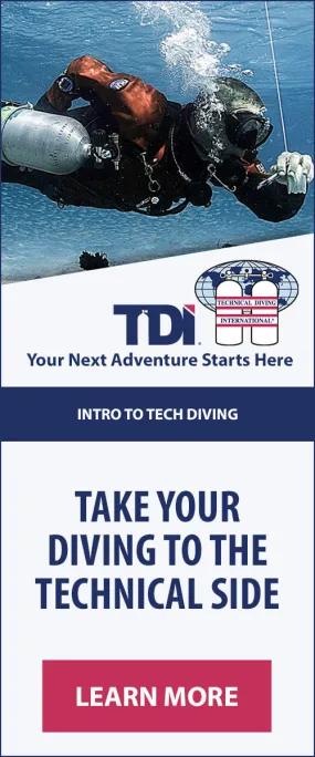 TDI Intro to Tech